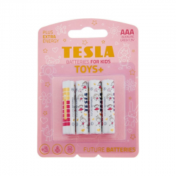 BATERIA TESLA AAA TOYS+...